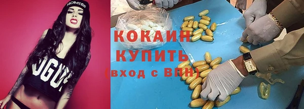 гидра Нея