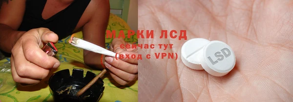 гидра Нея