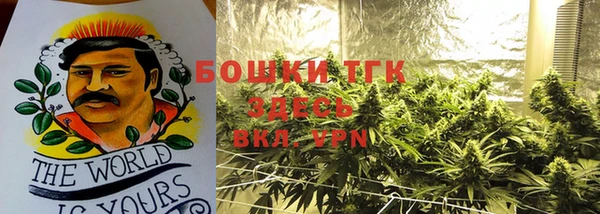 гидра Нея