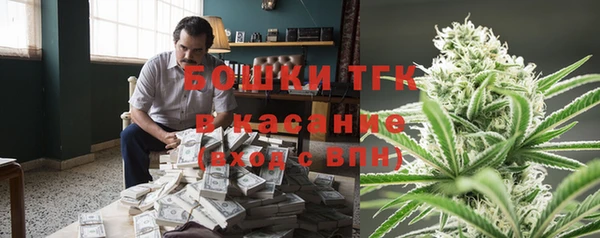 не бодяженный Новодвинск
