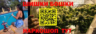 стаф Будённовск