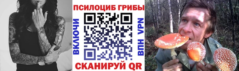 купить   Дзержинск  Псилоцибиновые грибы мицелий 