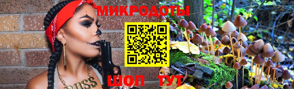 Галлюциногенные грибы Cubensis  Галлюциногенные грибы прущие грибы  Дзержинск  Вход с VPN 