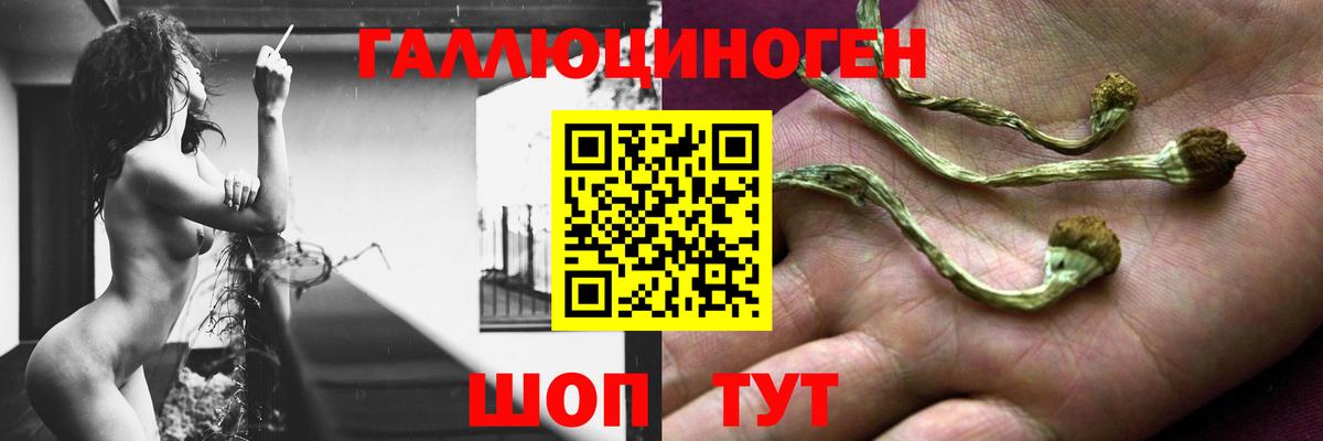 Псилоцибиновые грибы мухоморы Дзержинск